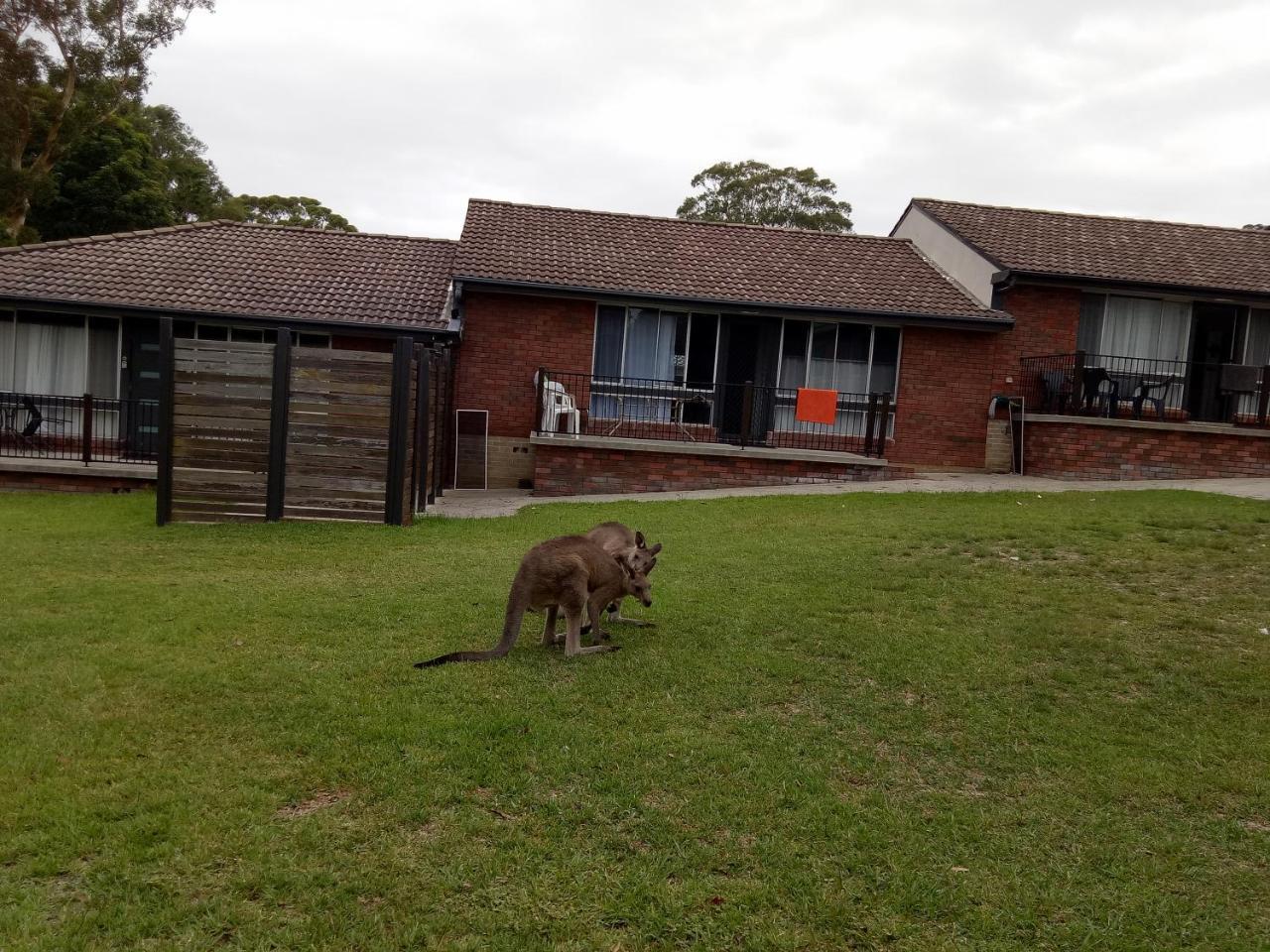 The Jervis Bay Villas Vincentia Exterior foto